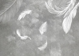 digital mural wallpaper, 3д, перья, серая, стена