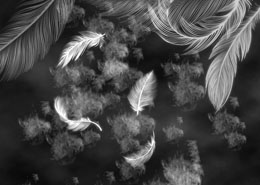 digital mural wallpaper, 3д, перья, черная, стена
