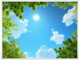digital mural wallpaper, потолок, небо, ветки, листья