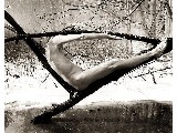 digital mural wallpaper, черно-белый, фотограф, знаменитость, фотообои