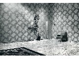 digital mural wallpaper, черно-белый, фотограф, знаменитость, фотообои