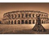digital mural wallpaper, черно-белый, фото, снимок, фотообои