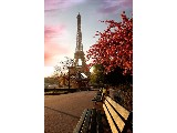 digital mural wallpaper, город, париж, франция, фотообои