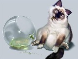 фотообои детские кот аквариум рыба