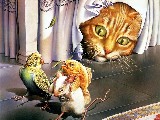 фотообои детские рыжий кот попугай