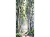 digital mural wallpaper, акварель, бамбуковый, лес, узкие