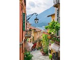 digital mural wallpaper, ÑÐ»Ð¸ÑÐ°, ÑÐ¾Ð½Ð°ÑÑ, ÑÐ·ÐºÐ¸Ð¹, Ð´ÑÐµÐ²Ð½Ð¸Ð¹