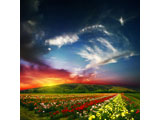 digital mural wallpaper, пейзаж, поле, небо, ночь