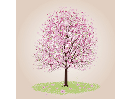 digital mural wallpaper, узор, орнамент, wallpapers, фотообои