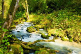 digital mural wallpaper, река, вода, водопад, камни