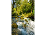 digital mural wallpaper, река, узкий, водопад, камни