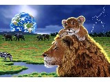 digital mural wallpaper, сафари, дикий, саванна, фотообои