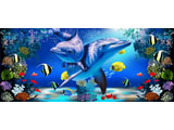 digital mural wallpaper, океан, дельфин, коралловый риф, рыба