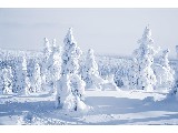 digital mural wallpaper, зима, сугроб, снег, природа