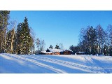 digital mural wallpaper, зима, сугроб, снег, природа