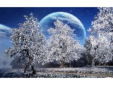 digital mural wallpaper, зима, сугроб, снег, природа