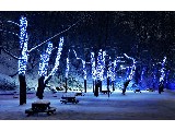digital mural wallpaper, зима, сугроб, снег, природа