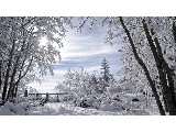 digital mural wallpaper, зима, сугроб, снег, природа